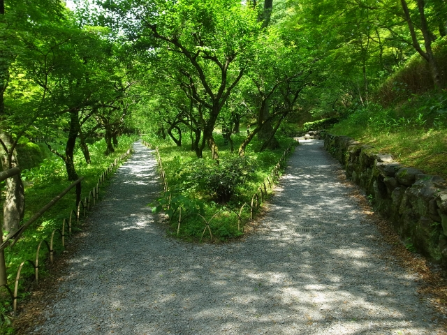 田中義一内閣の張作霖爆殺事件への対応と昭和天皇の反応 茶山 さやま の関心事セット