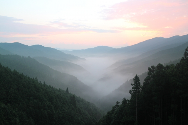 江戸時代の享保の改革とはどのような内容だったのでしょう 茶山 さやま の関心事セット