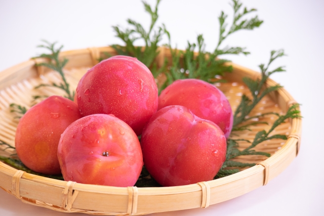 プラムを保存する時 冷蔵だとどれだけ日持ちするのでしょう 茶山 さやま の関心事セット